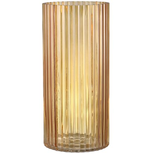 KAYLETIN Amber Glass Vase for Flowers, Ribbed Flower Vase, Fluted Vases for Decor, Tall Cylinder Glass Vases for Living Room, Bedroom, Dining Table, Office, Shelf, 25CM