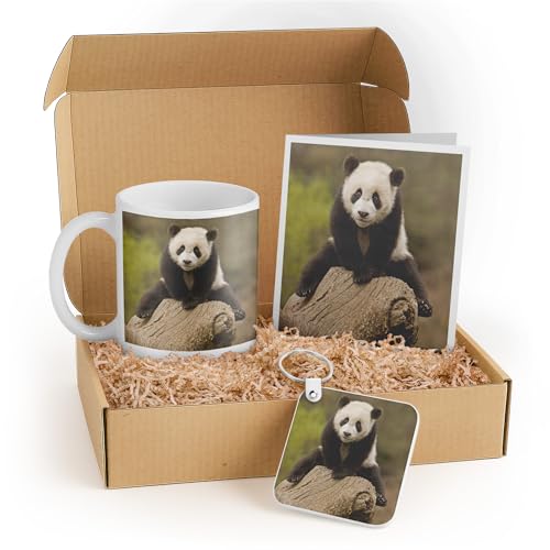 3dRose Cute Baby Panda Gift Set with Mug, Keychain, and Card – Perfect for Animal Lovers, Kids' Birthdays, and Nature Enthusiasts