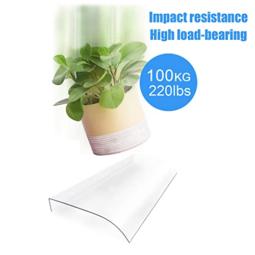 Couverture d'abri transparente haut de gamme auvent de porte