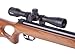 Diana Two-Fifty .177 Caliber Breakbarrel Air Rifle