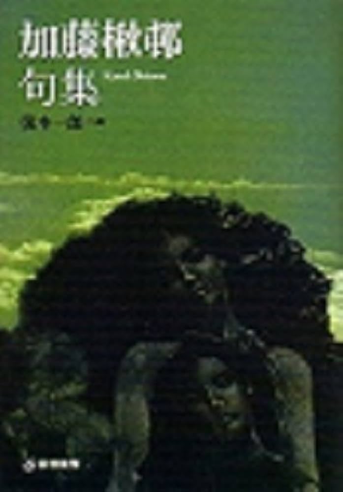 句集 点る 久野康子句集『う・た・か・た』（うたかた） - ふらんす堂