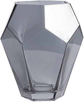 Habiba Vases Minimalistic Vases,Geometric Titanium Glass Vase Dried/Fresh Flowers Home Decor Hydroponic Transparent Flower Vase Device Simple