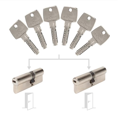 Cilindros para puertas Bricard Astral de 30x30 y 30x40 con llaves iguales 2