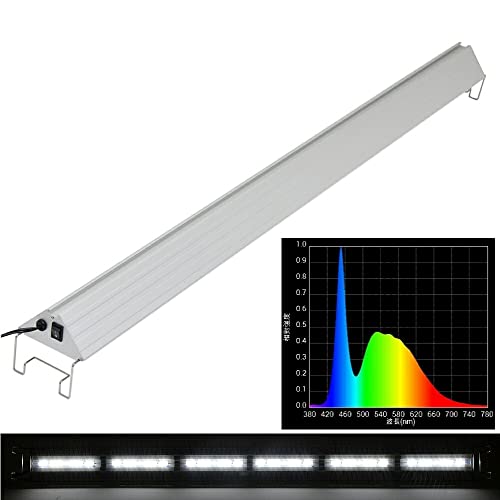 Charm(チャーム) - アクロ TRIANGLE LED BRIGHT