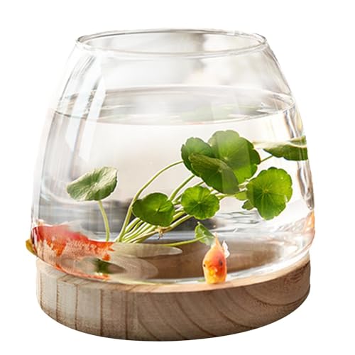 Bocal à Poisson en Verre avec Base en Bois - Aquarium Boule Transparent pour Poisson Rouge Betta - Vase pour Plante Hydroponique et Aquariophilie