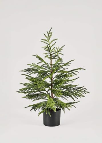 Afloral Artificial Norfolk Pine Tree - 36"