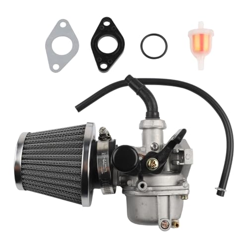 NEIQIUWING Filtro de aire de carburador de 19 mm para motores ATV/Quad de 50/90/110/125 cc.
