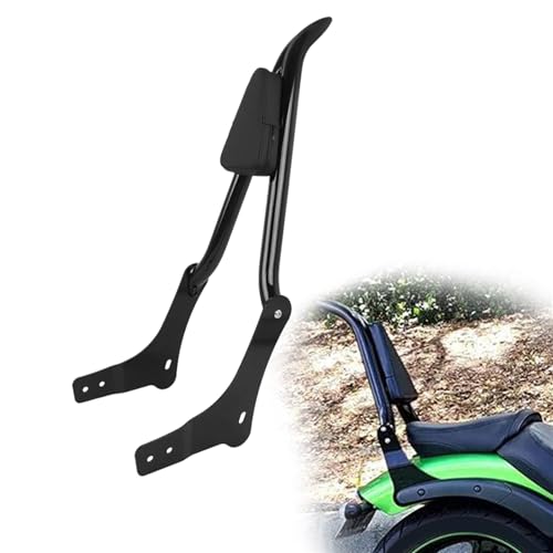 Support de dossier haut de gamme et porte-bagages arrière rigide pour Rebel 1100