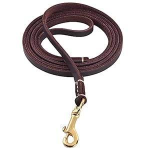 4FT-5FT-6FT-Geninue-Leather-Leash-for-Small-to-Medium-Dogs-Training-and-Walking-Color-BlackBrown - Cucciolini Doodles 4FT-5FT-6FT-Geninue-Leather-Leash-for-Small-to-Medium-Dogs-Training-and-Walking-Color-BlackBrown