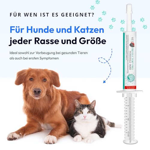 VET PROTECTOR - MUNDHÖHLE MUKO - Mundpflegepräparat für Hunde und Katzen - Zahnmedizinisches Gel - Schutz der Mundschleimhaut - Vorbeugung von Zahnfleischentzündungen und Plaque