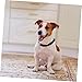 POPETPOP Pet Pendant Bell Metal Necklace for Cats Dogs Charm for Longevity Stylish Pet Jewelry