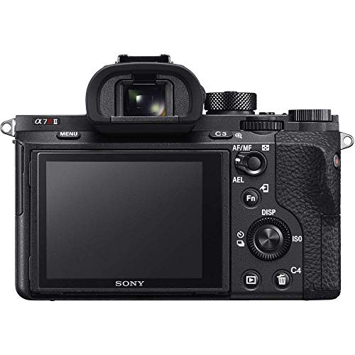 Sony Alpha A7R Ii Mirrorless Digital Camera (Body Only) (Ilce7Rm2/B) + 2 X 64Gb Memory Card + Corel Photo Software + Case + 3 X Npf-W50 Battery + Card Reader + Led Light + More (Renewed) #TOP5