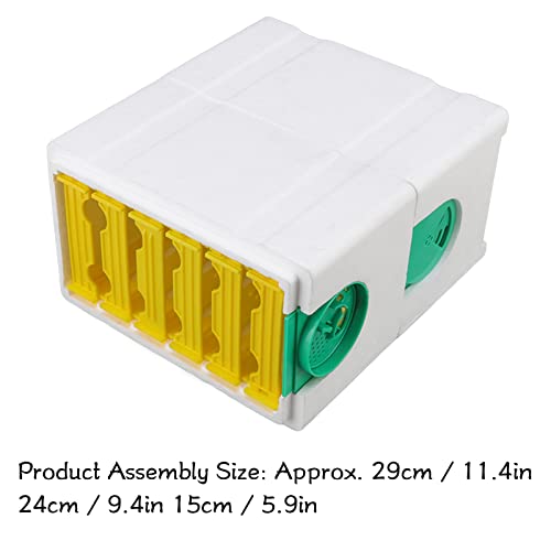 Ruche mousse abeille reine à 10 cadres double couche pour élevage