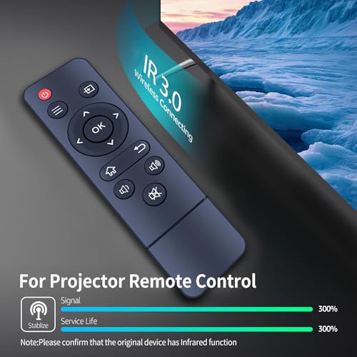Télécommande pour Cibest W13 RETROSUN pour remplacer votre boîtier perdu - 4