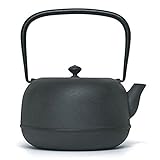 東屋 水沢姥口鉄瓶 小