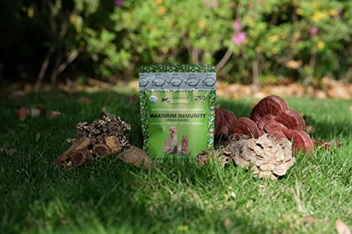 Image of Mushroom Complex for Dogs & Cats - 25%+ Beta Glucans - Fruiting Body Extract Blend (Turkey Tail, Reishi, Maitake, Shiitake) - Immune & Gut Support - No Mycelium, No Fillers - 250 Servings