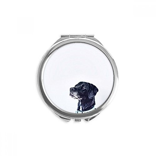Espejo de bolsillo de perro blanco ideal para retoques de maquillaje rápidos en cualquier lugar