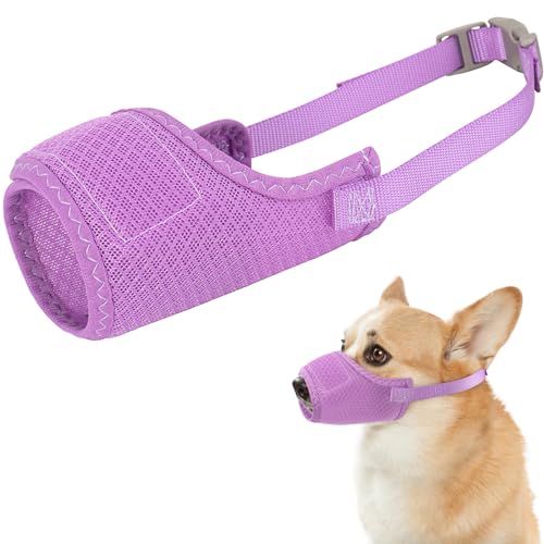 ^^p̌peA\tgbV̌K[hAނƂh߂̌ցAiAʋC̒߉\Ȏq̏eAO[~OAbAp