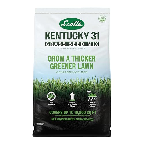 Scotts Kentucky 31 Grass Seed Mix for New Lawns or Overseeding, Grows Thicker and Greener vs. Other Kentucky 31 Mixes, Covers up to 10,000 sq. ft.