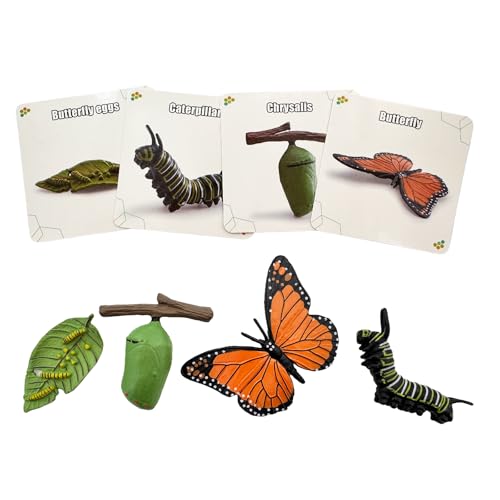 Montessori Life Cycle Animal Figures with Flash Cards