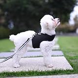 Small Dog Harness and Leash Set Small Pet Harness for Summer, Adjustable Soft Padded Dog Vest for Poodle,Pomeranian,Chihuahua,Minlature Pinscher Under 8LBS, Solid Black Mesh Fabric