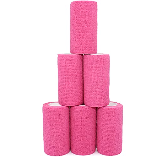 KEQCQE Lk e͕єSуe[sO oe[W ybg  LhsDz ֐߃T|[g Lk ʋC 6