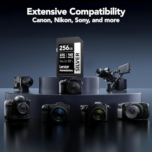 Image of Lexar 256GB Professional Silver SDXC Memory Card, UHS-I, C10, U3, V30, 4K Video, Up to 205 /140 MB /s Read /Write, for Professional Photographer, Videographer, Enthusiast (LSDSILV256G-BNNNU)