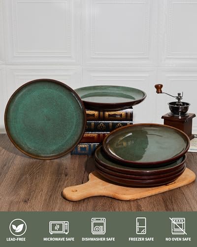 Image of Pokini Ceramic Dinner Plates Set of 6, 10inch Salad, Dessert Plates Dishes