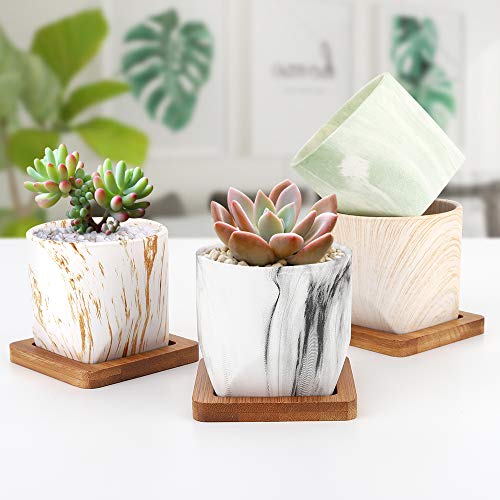 Luxspire 2.8 Inch Small Succulent Pots Set of 4, Mini Ceramic Porcelain Succulent Cactus Plant Pot Planter Container⦠- Afbeelding 6