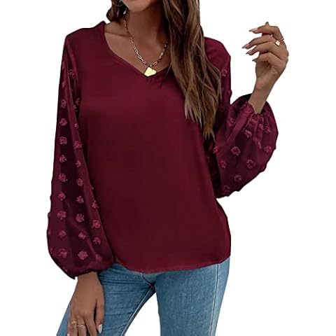 Blouses for Women Casual Long Sleeve Shirts V Neck Dressy Tops Swiss Dot Chiffon Blouses for Work, Wine Red, X-Large Cover