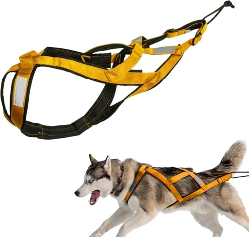 Imbracatura per cani da tirare, imbracatura per cani che mushing sulla schiena, imbracatura husky a X, imbracatura per cani da traino, per esercizi con slitta, slittino per animali domestici, giallo