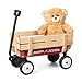 Radio Flyer 19 Inch Kids Wagon, Toy Wagon for Kids, Rolling Cart, Carts with Wheels, for Ages 1.5+ Years