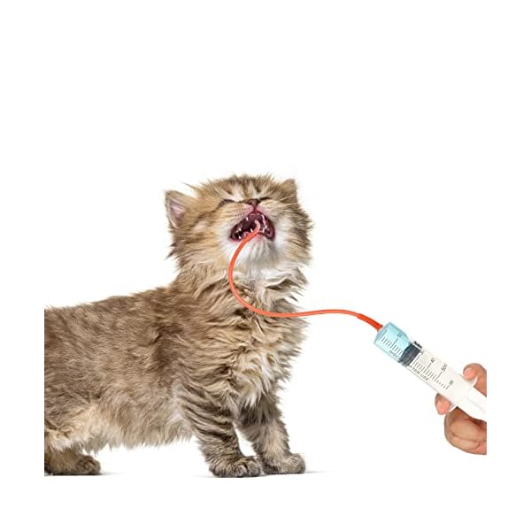 7-Pack-Pet-Supplies-Animal-Kid-Tube-Feeding-Kit-Includes-3-Pack-8-FR-Red-Feeding-Tubes-3-Pack-10-Ml-30-Ml-60-Ml-Syringes-Bulb-Syringe-for-Lamb-Goat-Puppy-Whelping-Kitten-Feeding-Measuring-Watering 3 Pack 8 FR Red Feeding Tubes