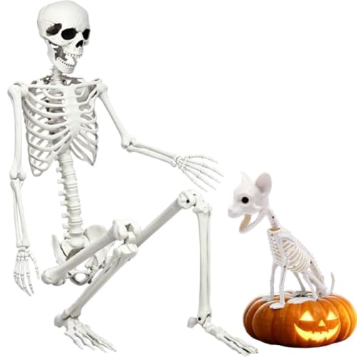 5.9Ft Halloween Life Size Skeleton with Cat...