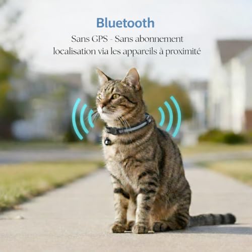 JAYZ Katzenhalsband + Tracker/Ortungsgerät, Bluetooth, ohne Vertrag, für Apple iOS/Android/kompatibel mit Apple Airtag, Sicherheit gegen Würgen für Kätzchen, Katzen