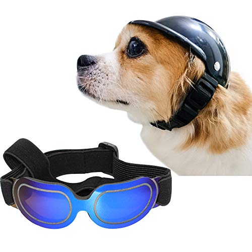 Casque pour animal domestique anti choc et lunettes de soleil chien