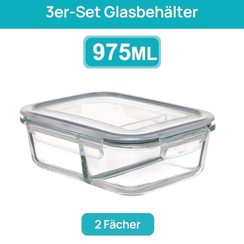 Vtopmart 5Pack 975ml Meal Prep Boxen, Glasbehälter mit Deckel, Frischhaltedosen Glas mit Deckel für Mikrowelle, Ofen, Gefrierschrank und SpüLmaschine 2
