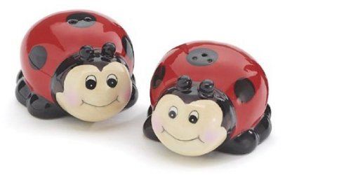 Whimsical Ladybug Lady Bug Salt and Pepper Shaker Set for Kitchen Decor - //coolthings.us