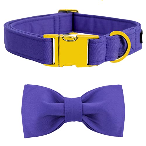 Maca Bates Purple Dog Collar with Bow Tie for Extra Small Girl Boy Dogs,Solid Color,Adjustable Breakaway Collars Birthday Gift Female Male Puppy Pet