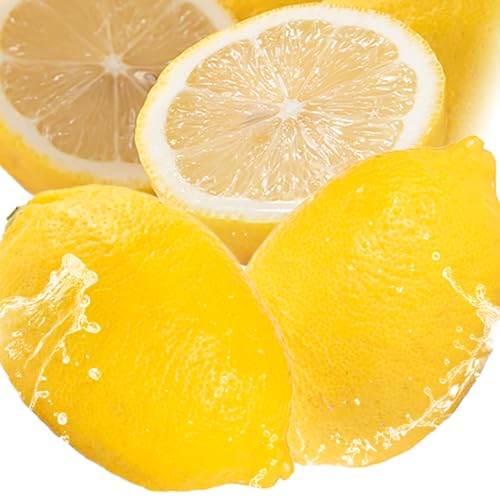 [Amazon.co.jp 限定]レモン 国産 1.9kg (L〜4Lサイズ) ノーワックス 減農薬 どの坂果樹園[2026年2月上旬-5月末頃出荷] 和歌山県 日高町 れもん 檸檬 旬 果物 フルーツ 柑橘 産地直送