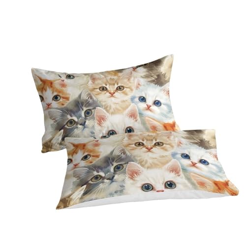 Housse de couette chat 3D microfibre de qualité supérieure avec taies - 3