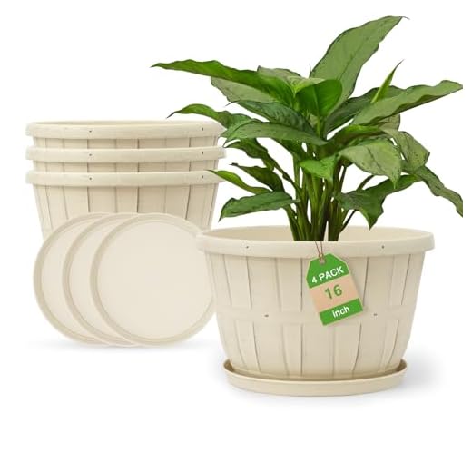Best pot and soil for umbrella plant Quarut 16-Inch Whiskey Barrel Planter Set