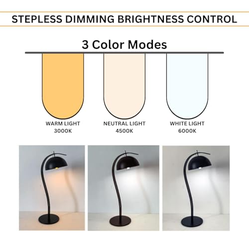 Image of NYRWANA Table Lamp for Study Room, Study Lamp, 3 Modes Touch Control LED Desk Lamp, Study Table Lamp, Lamp Light for Study, Gifts for Family & Friends, Desk Lamp - USB-C Rechargeable (Black)