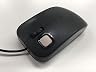 エコデバイス エコデバイス Beetle EMUC18-5BBB [ブラック]