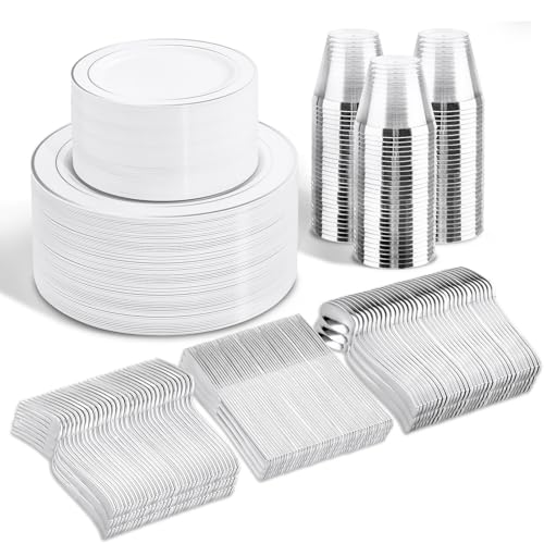 WELLIFE 300Pcs Silver Disposable Dinnerware Set for 50 Guests