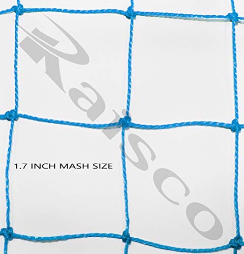 Image of Raisco Practice Cricket /Tennis Net (Green /Blue) (B30*10 Feet, Blue)