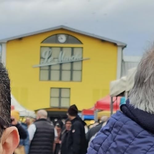 Que pensent les mulhousien-nes des &eacute;lections municipales ?