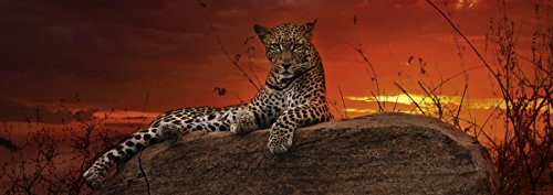 HEYE 29608 Puzzle, White – Bild 4