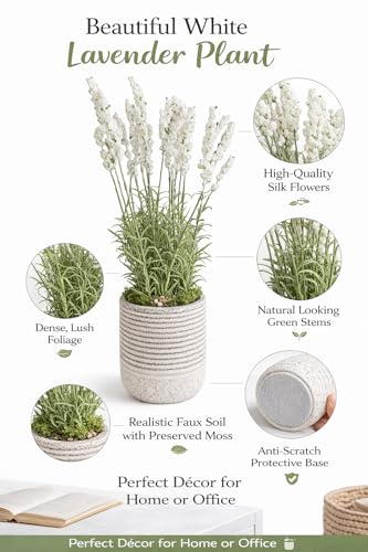 Image of Garden Art Artificial Lavender Plant with Pot - Flocked Purple Lavender Flowers in Textured Pot, Perfect for Home Decor, Office Desk & Gift Use (P-0230White)