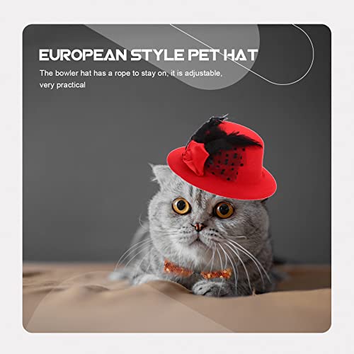 Sombrero Beavorty para perros tamaño pequeño miniatura 4